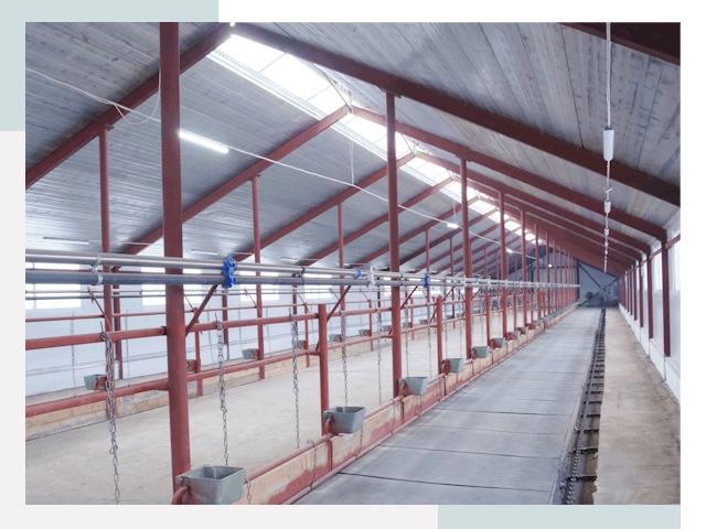 Строительство коровников в Воронеже от 644 руб.